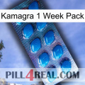 Kamagra 1 Week Pack viagra1